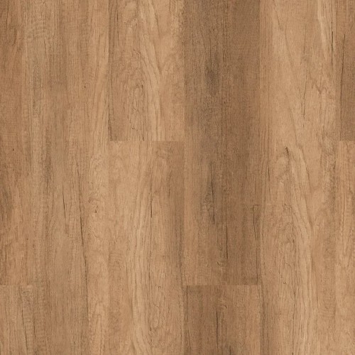 enzo 4007dnn