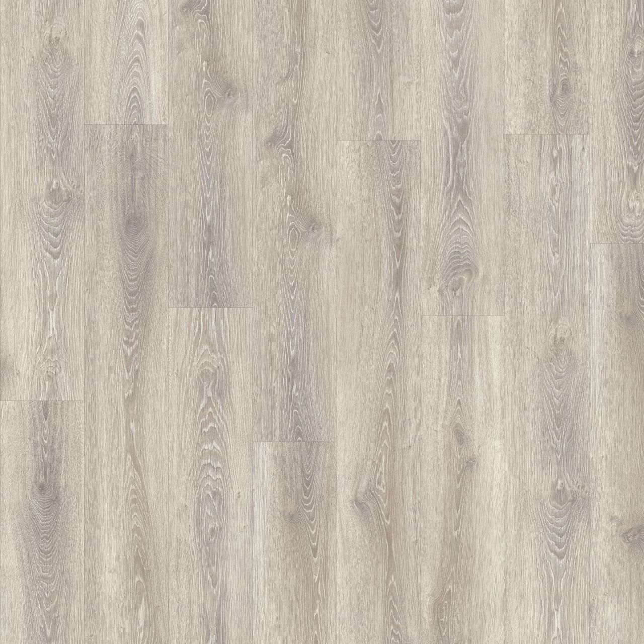 emory oak 147