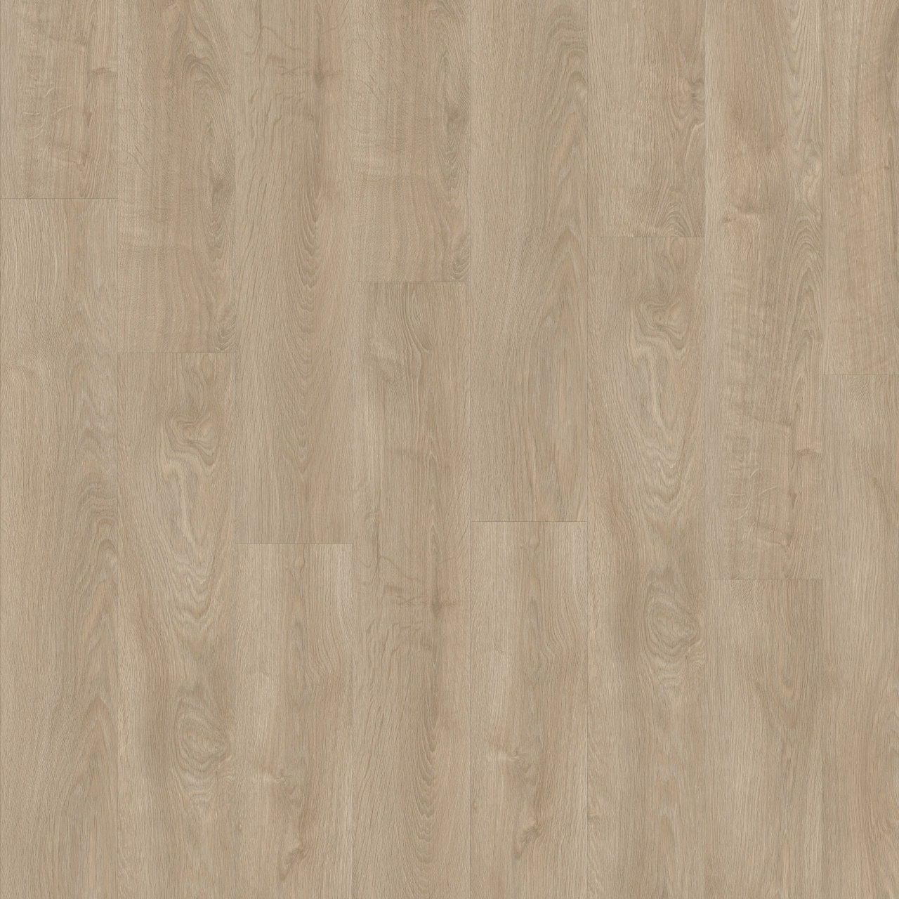silverleaf oak 311bo