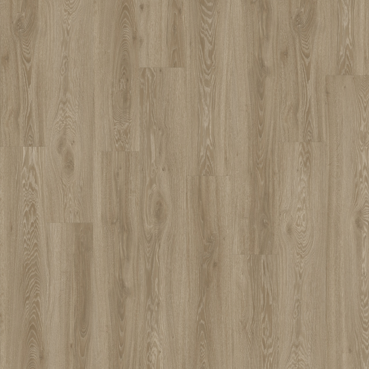vista oak 450