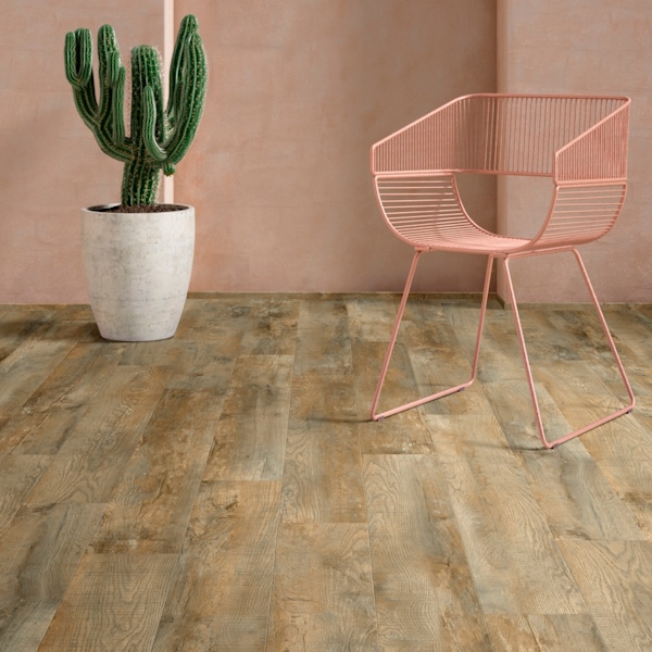 roots country oak 24958