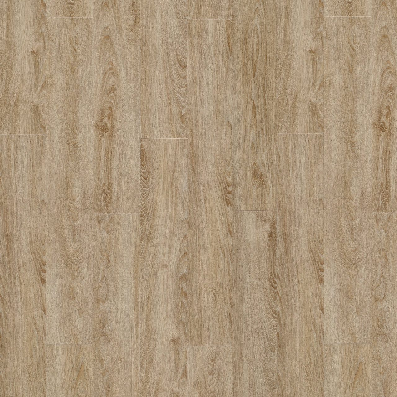 midland oak 22231
