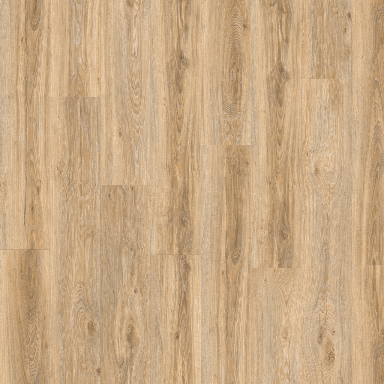 blackjack oak 22220