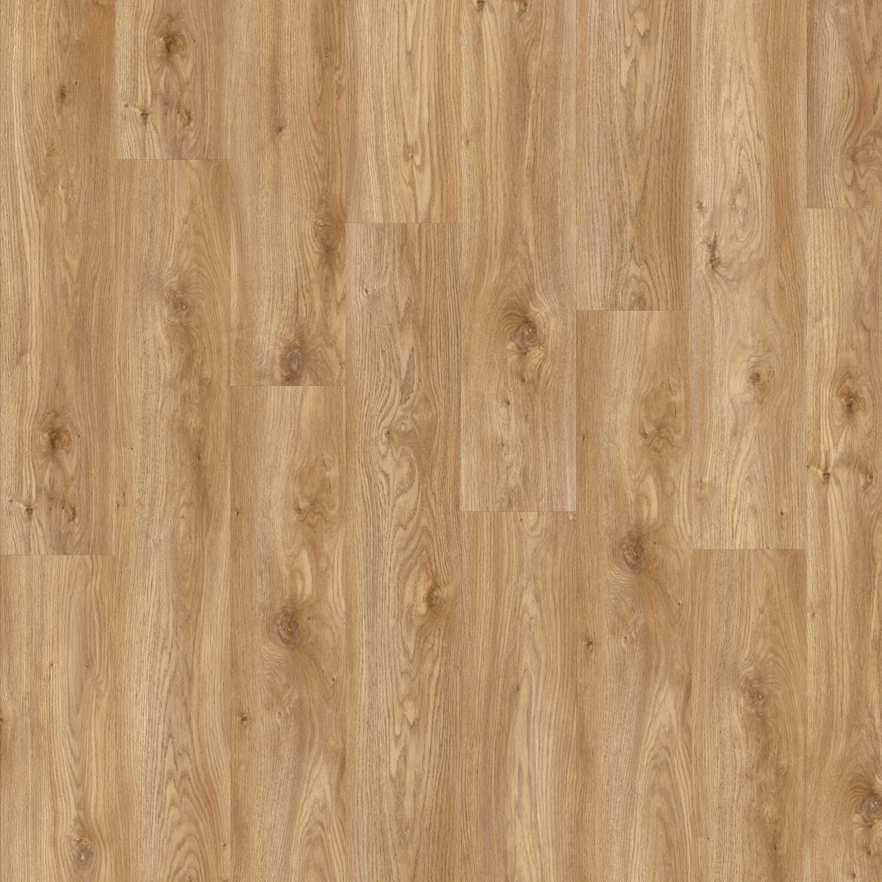 sierra oak 58346