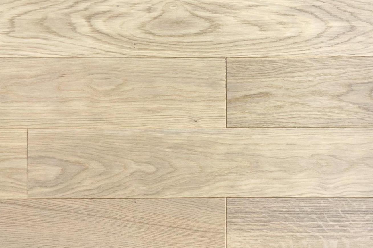 Дуб Абрикосовый